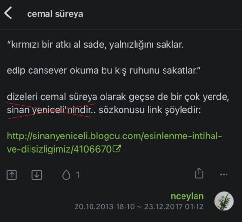 kırmızı bir atkı al sade yalnızlığını