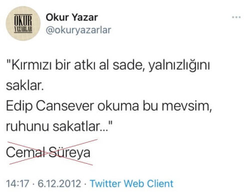 kırmızı bir atkı al sade yalnızlığını