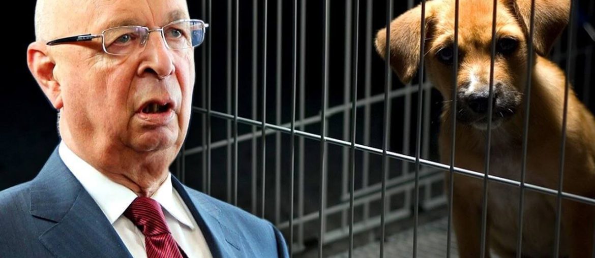 klaus-schwab-dunya-saglik-orgutu-kedi-kopek