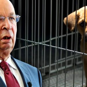 klaus-schwab-dunya-saglik-orgutu-kedi-kopek
