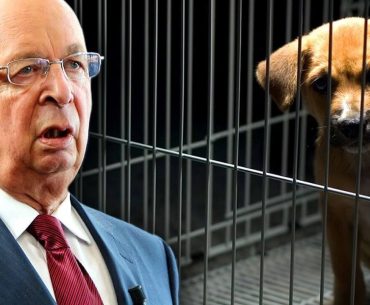 klaus-schwab-dunya-saglik-orgutu-kedi-kopek