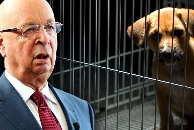 klaus-schwab-dunya-saglik-orgutu-kedi-kopek