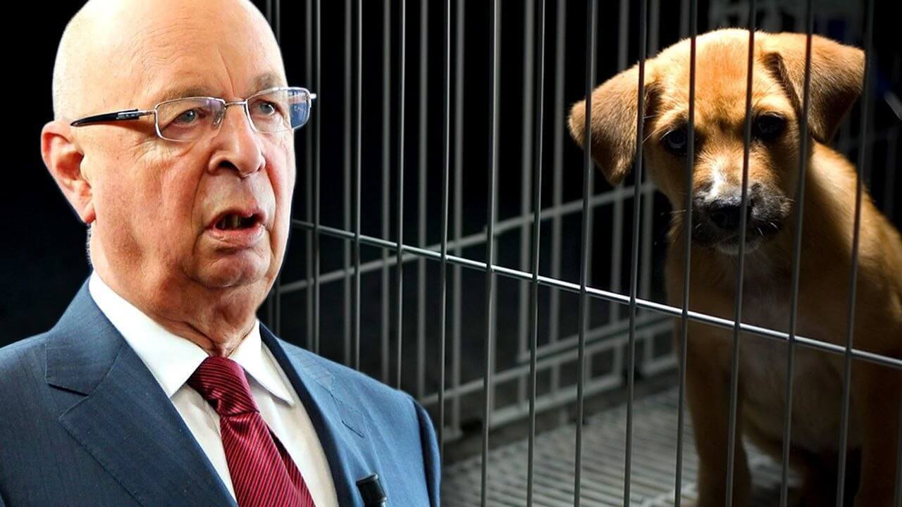 klaus-schwab-dunya-saglik-orgutu-kedi-kopek