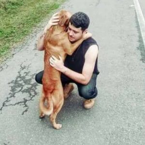 köpeğe sarılan insan