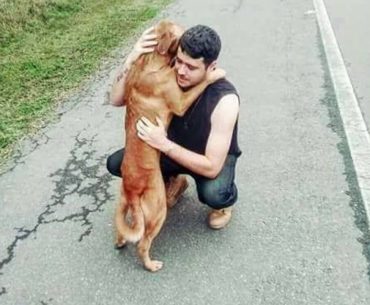 köpeğe sarılan insan