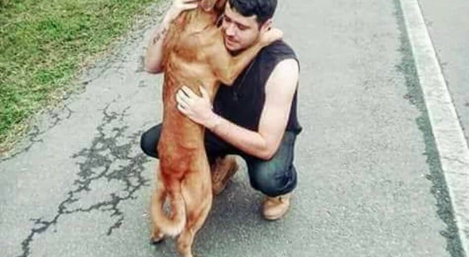 köpeğe sarılan insan