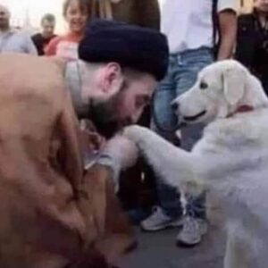 kopegin-elini-open-montaj