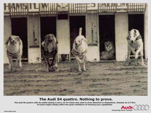 köpek çita yarış reklamı