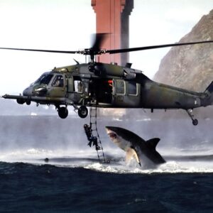 köpekbalığı helikopter