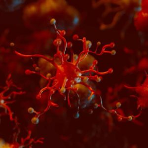 koronavirüs coronavirus