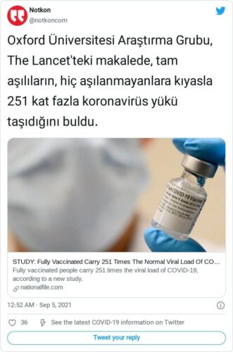 koronavirüs yükü