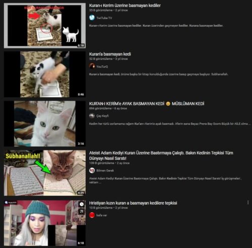 kurana basmayan kedi videolar