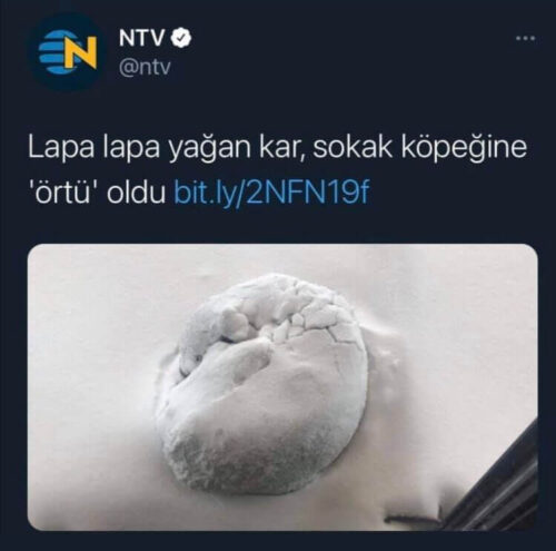 lapa lapa yağan kar örtü oldu