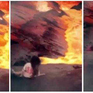 lavlarin-icine-dusen