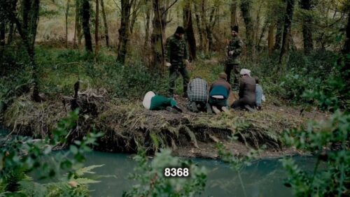 lily srebrenica