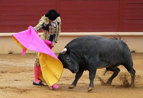 matador pembe muleta boga