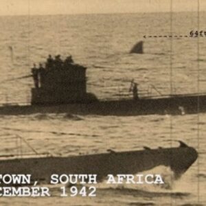 megalodon denizaltı