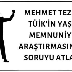 Mehmet Tezkan TÜİK'in Yaşam Memnuniyeti Araştırmasındaki Ekonomik Gelişmelerden Etkilenmeye Dair Soruyu Gözden Kaçırmış