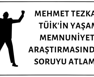 Mehmet Tezkan TÜİK'in Yaşam Memnuniyeti Araştırmasındaki Ekonomik Gelişmelerden Etkilenmeye Dair Soruyu Gözden Kaçırmış