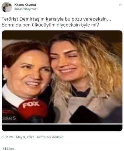 meral aksener demirtasin karisi