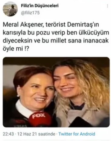 meral aksener demirtasin karisi