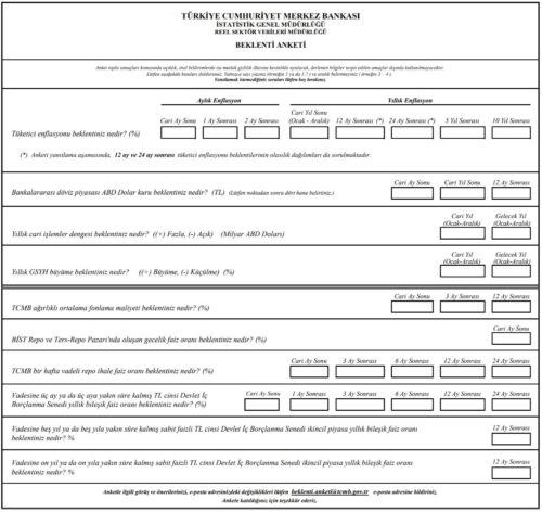 merkez bankası beklenti anketi soru formu