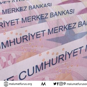 merkez bankası para basımı