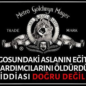 Metro Goldwyn Mayer Logosundaki Aslanın Eğitmeni ve Yardımcılarını Öldürdüğü İddiası Asılsız