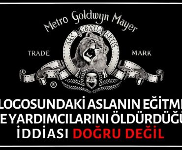 Metro Goldwyn Mayer Logosundaki Aslanın Eğitmeni ve Yardımcılarını Öldürdüğü İddiası Asılsız