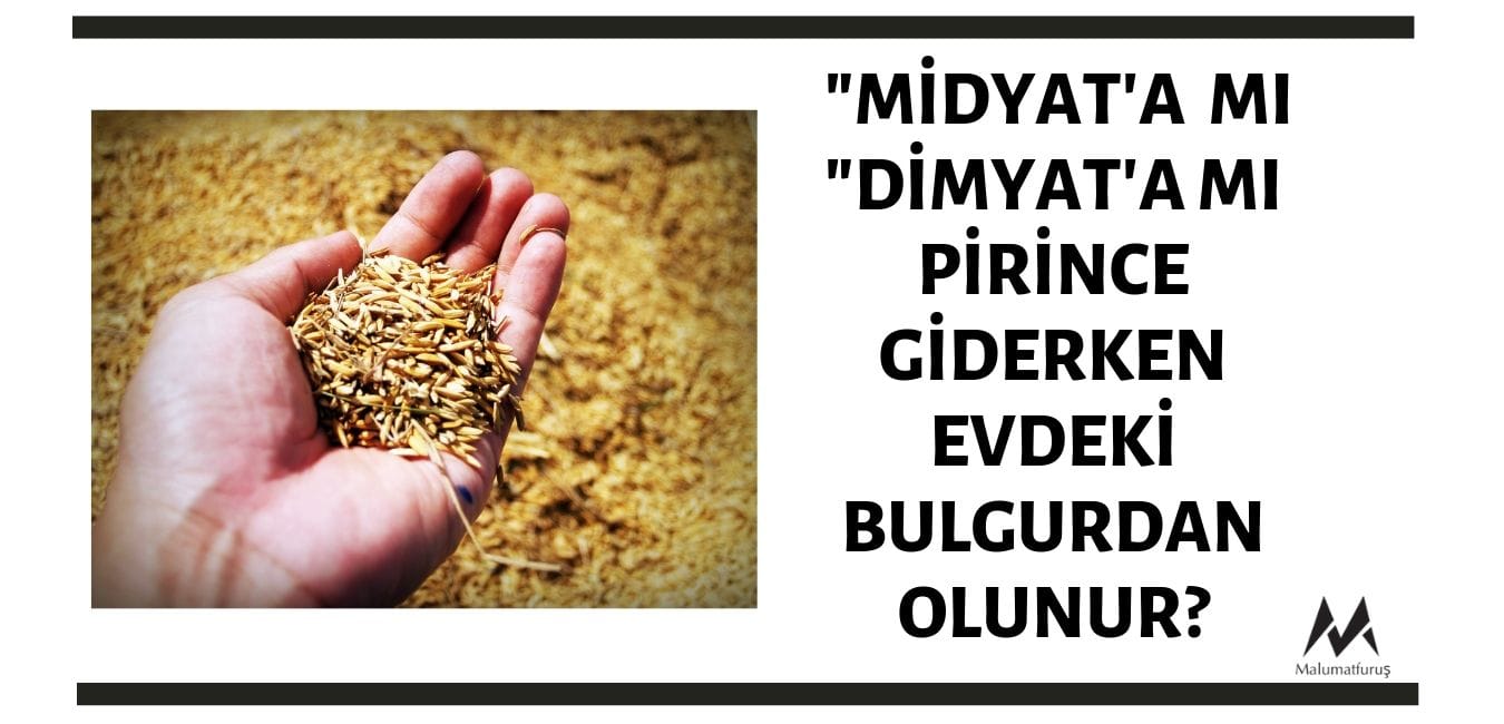 midyata-pirince-gitmek-dimyada-pirince-gitmek