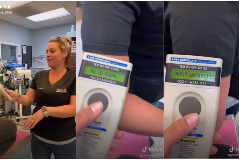 mikroçip kimlik okuyucu aşı olunan kol