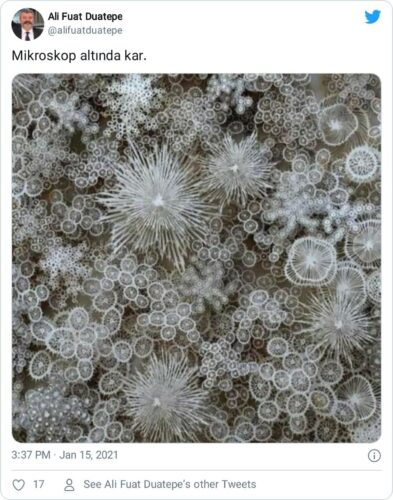 mikroskop altında kar