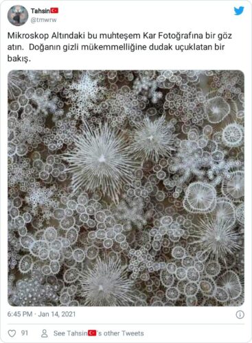 mikroskop altında kar fotoğrafı