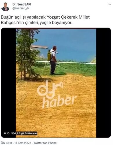 millet-bahcesi-cimleri-yesile-boyaniyor