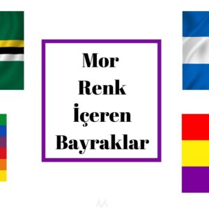 mor renkli bayraklar