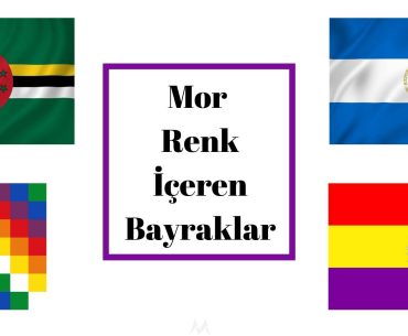 mor renkli bayraklar