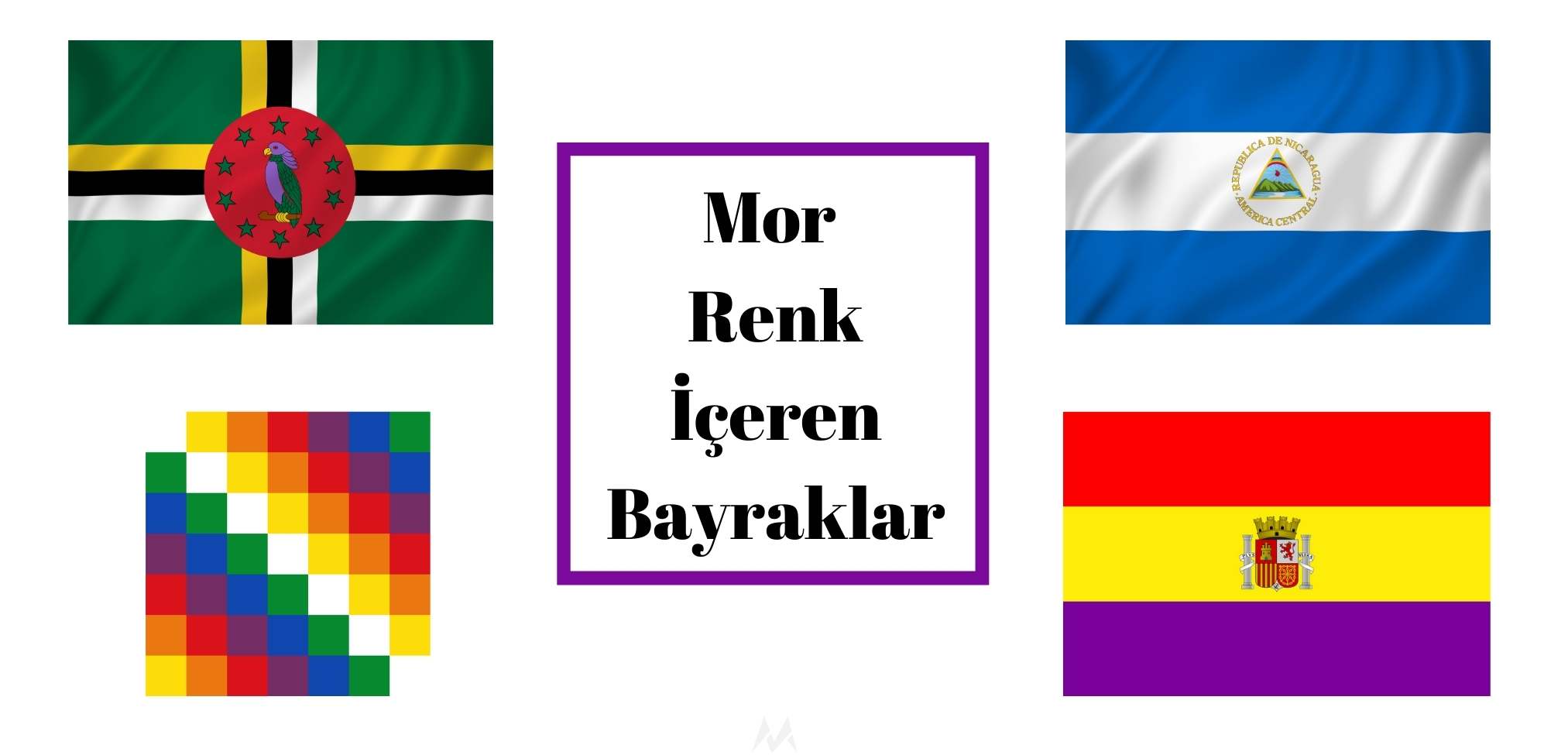 mor renkli bayraklar