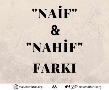 naif nahif