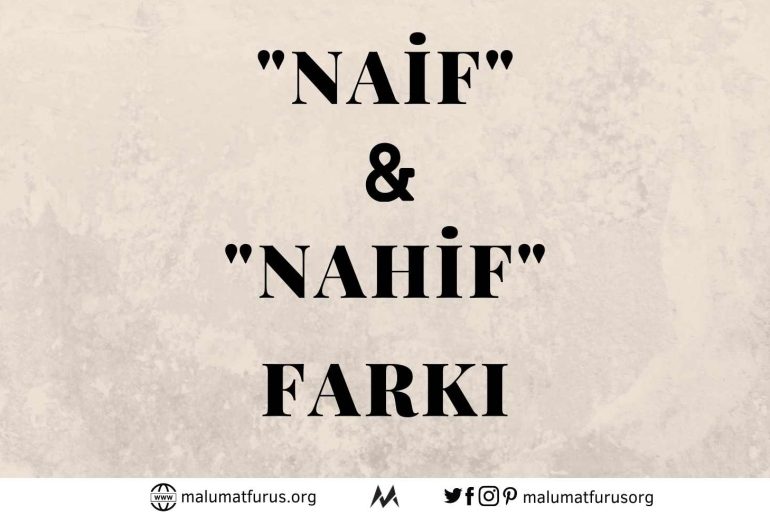naif nahif