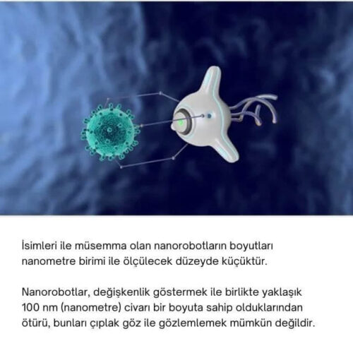 nanorobotlar