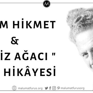 Nâzım Hikmet'in Ceviz Ağacı Şiirini Hapishaneden Firar Ettikten Sonra Gülhane Parkı'nda Sevgilisi Piraye İle Polis Ablukası Nedeniyle Görüşememesinin Etkisiyle Yazdığı İddiası Asılsız