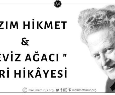 Nâzım Hikmet'in Ceviz Ağacı Şiirini Hapishaneden Firar Ettikten Sonra Gülhane Parkı'nda Sevgilisi Piraye İle Polis Ablukası Nedeniyle Görüşememesinin Etkisiyle Yazdığı İddiası Asılsız