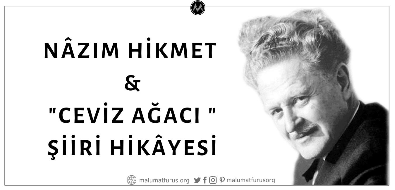 Nâzım Hikmet'in Ceviz Ağacı Şiirini Hapishaneden Firar Ettikten Sonra Gülhane Parkı'nda Sevgilisi Piraye İle Polis Ablukası Nedeniyle Görüşememesinin Etkisiyle Yazdığı İddiası Asılsız