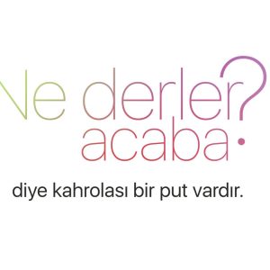 ne-derler-acaba-diye-kahrolasi-bir-put-vardir