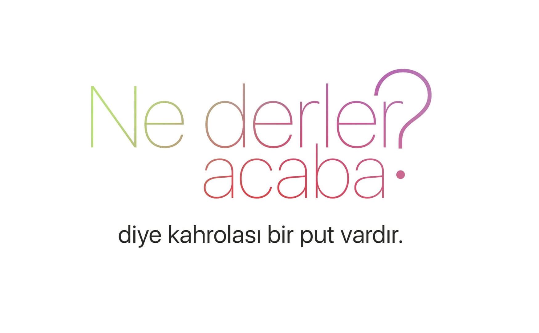 ne-derler-acaba-diye-kahrolasi-bir-put-vardir