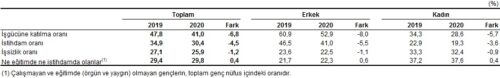 Ne eğitimde ne de istihdamda olanların oranı 