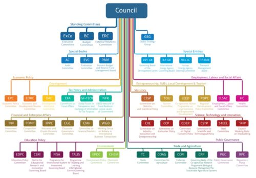 oecd yapısı