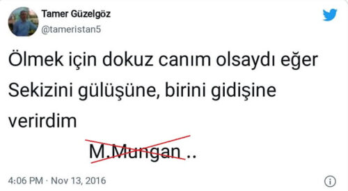 olmek icin dokuz canim olsaydi eger