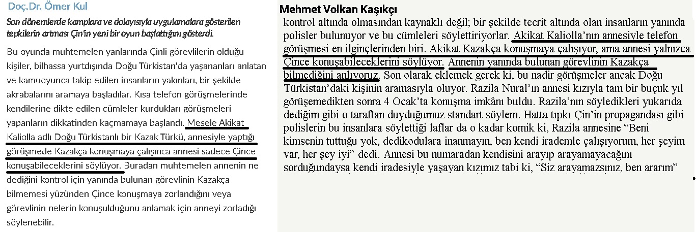 omer_kul_dogu_turkistan_kose_yazisi_intihal_5