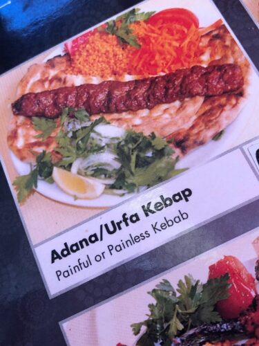 painful painless kebap